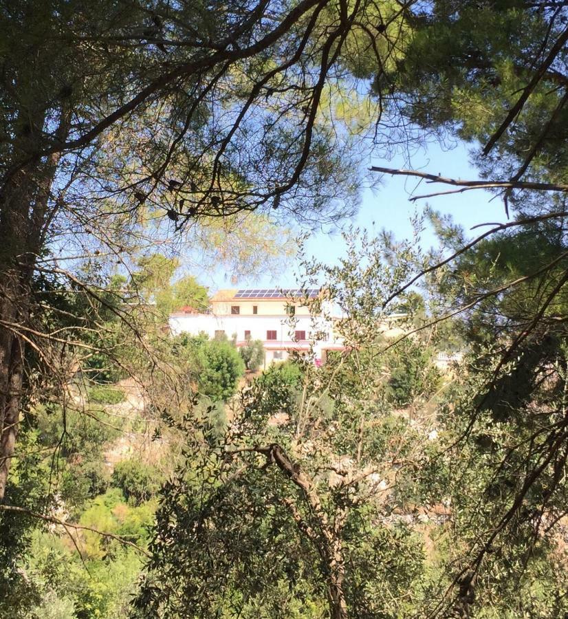 Alloggi Adele Villa Peschici Esterno foto